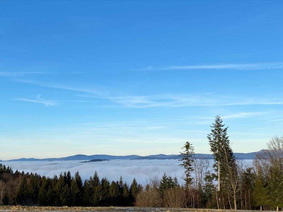 Exclusives 3Br! Apartment Mitten Im Bayerischen Wald +Netflix Schöfweg Exterior foto
